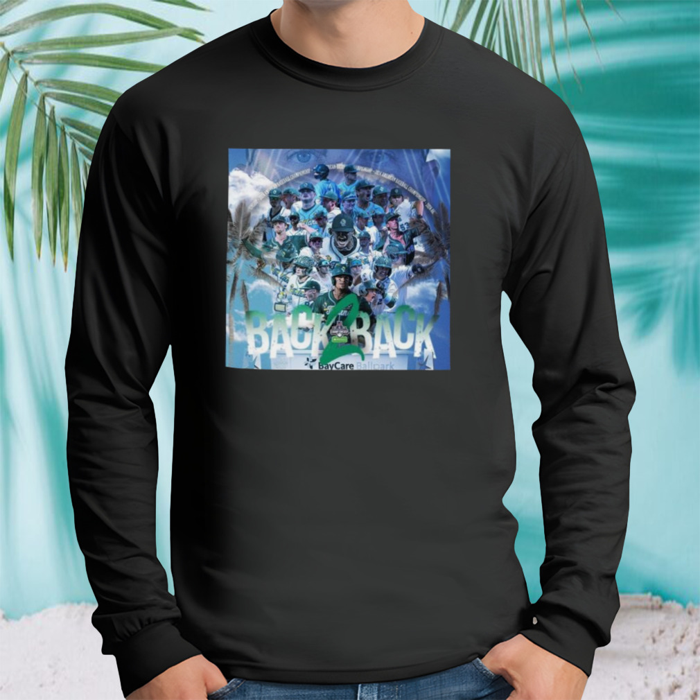 Longsleeve tshirt