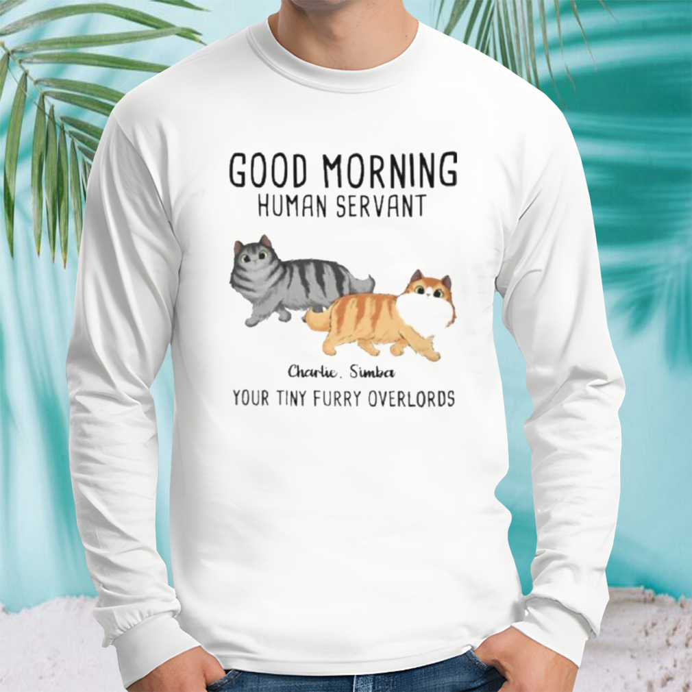 Longsleeve shirt