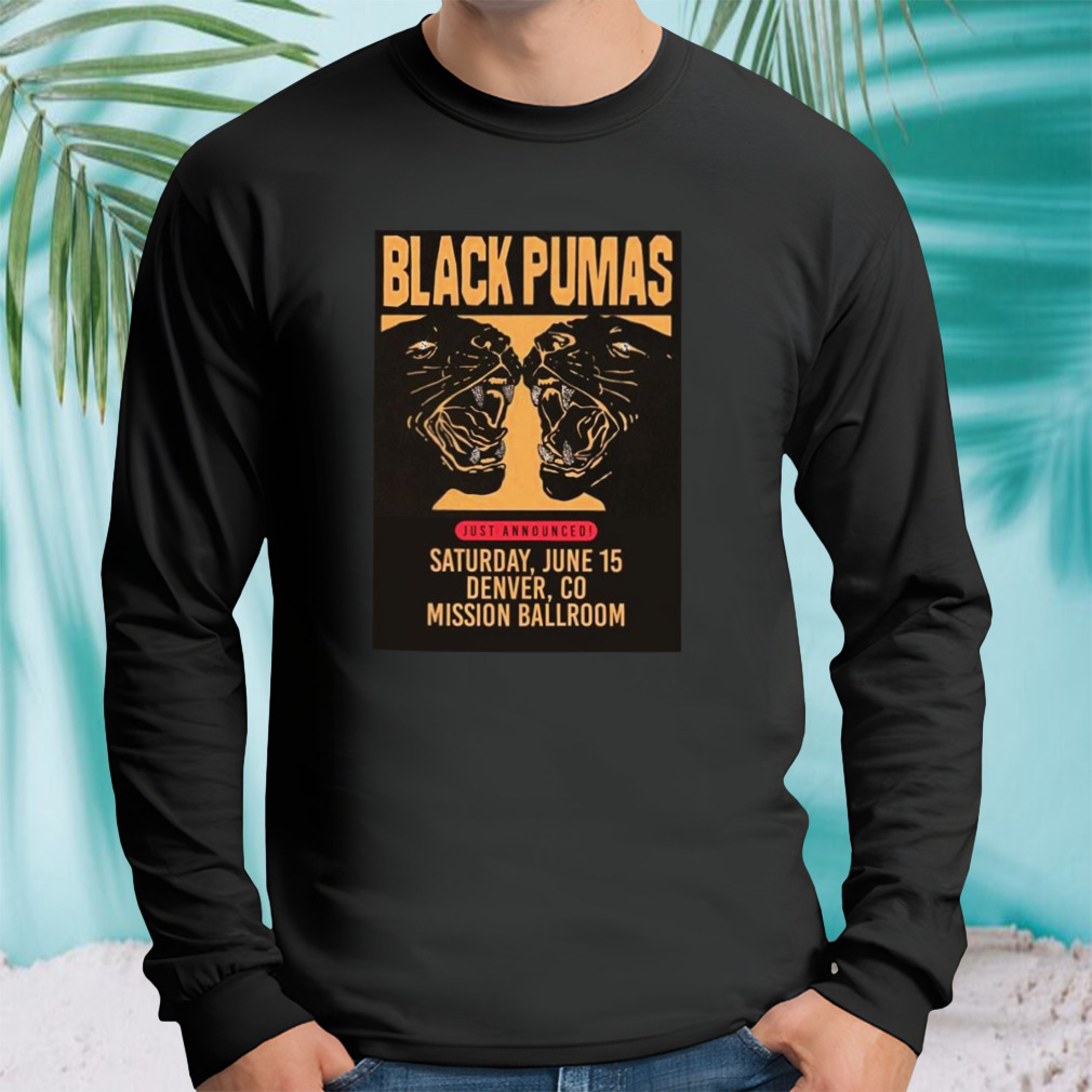 Longsleeve tshirt