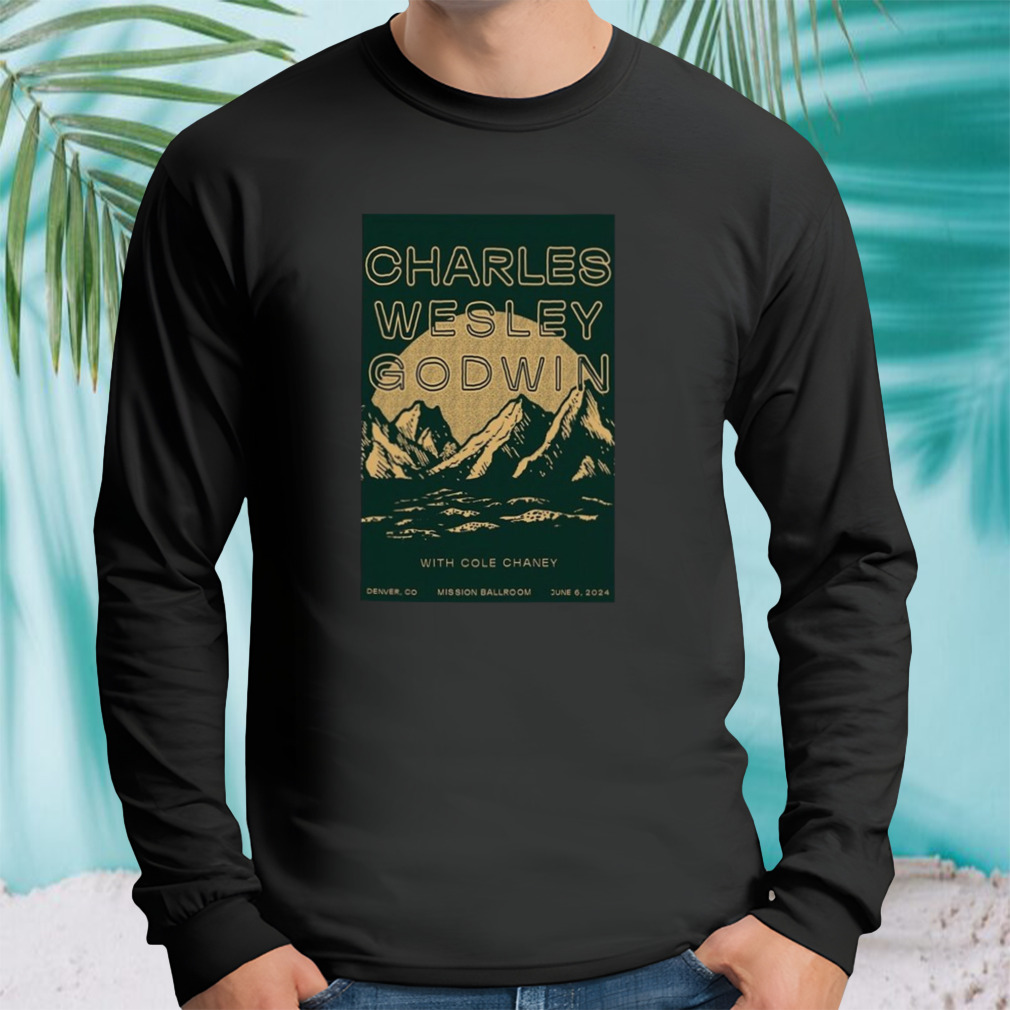 Longsleeve tshirt