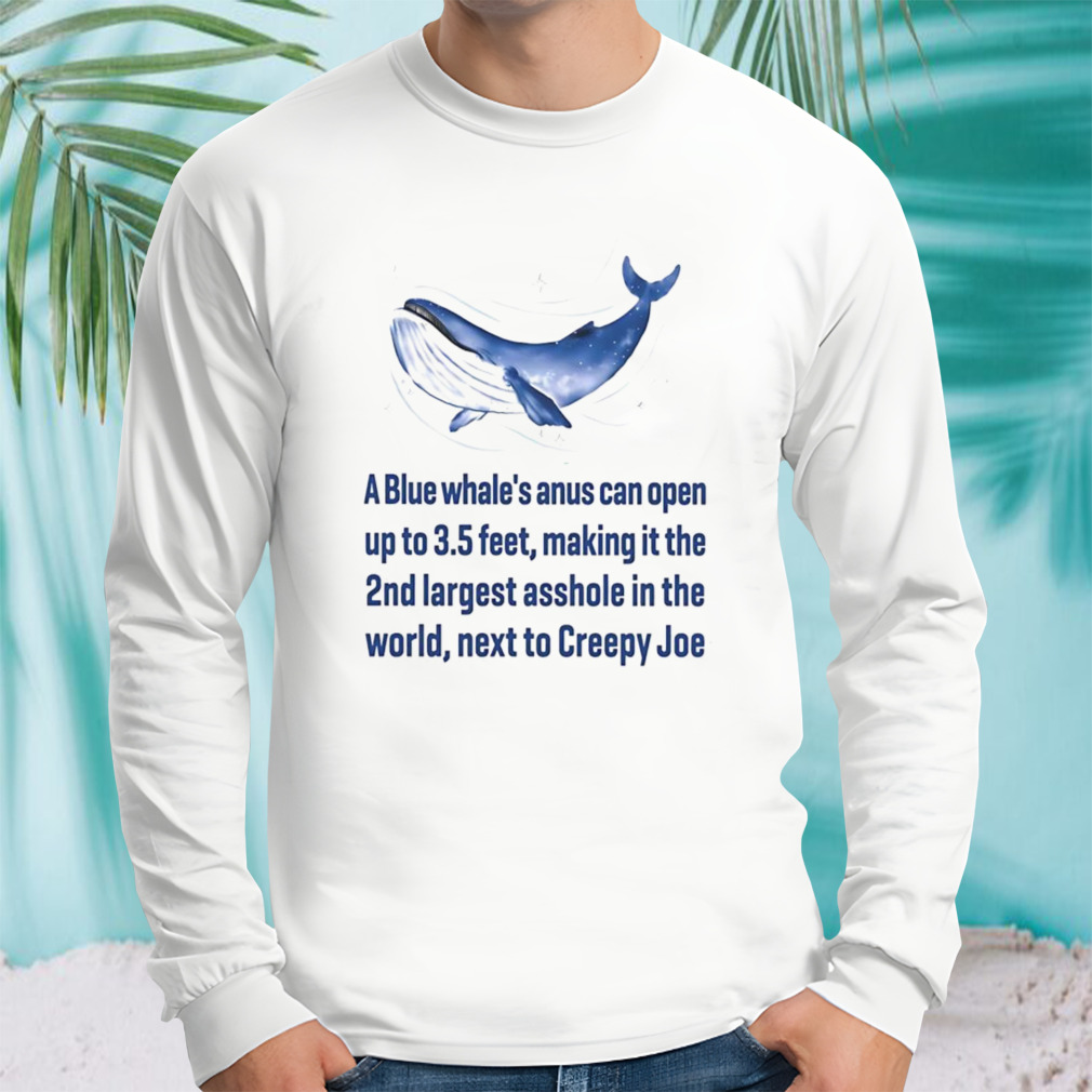 Longsleeve shirt