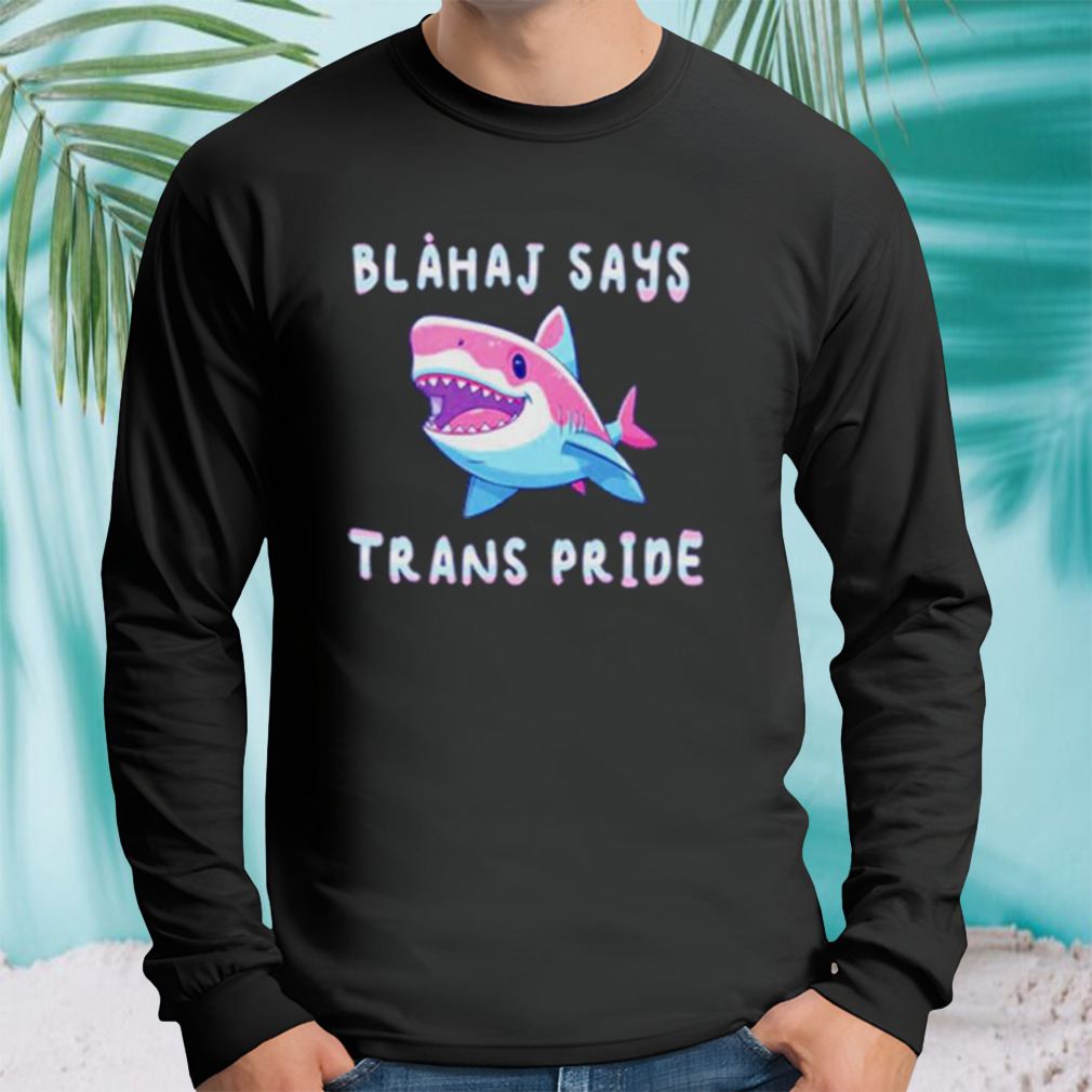 Longsleeve tshirt