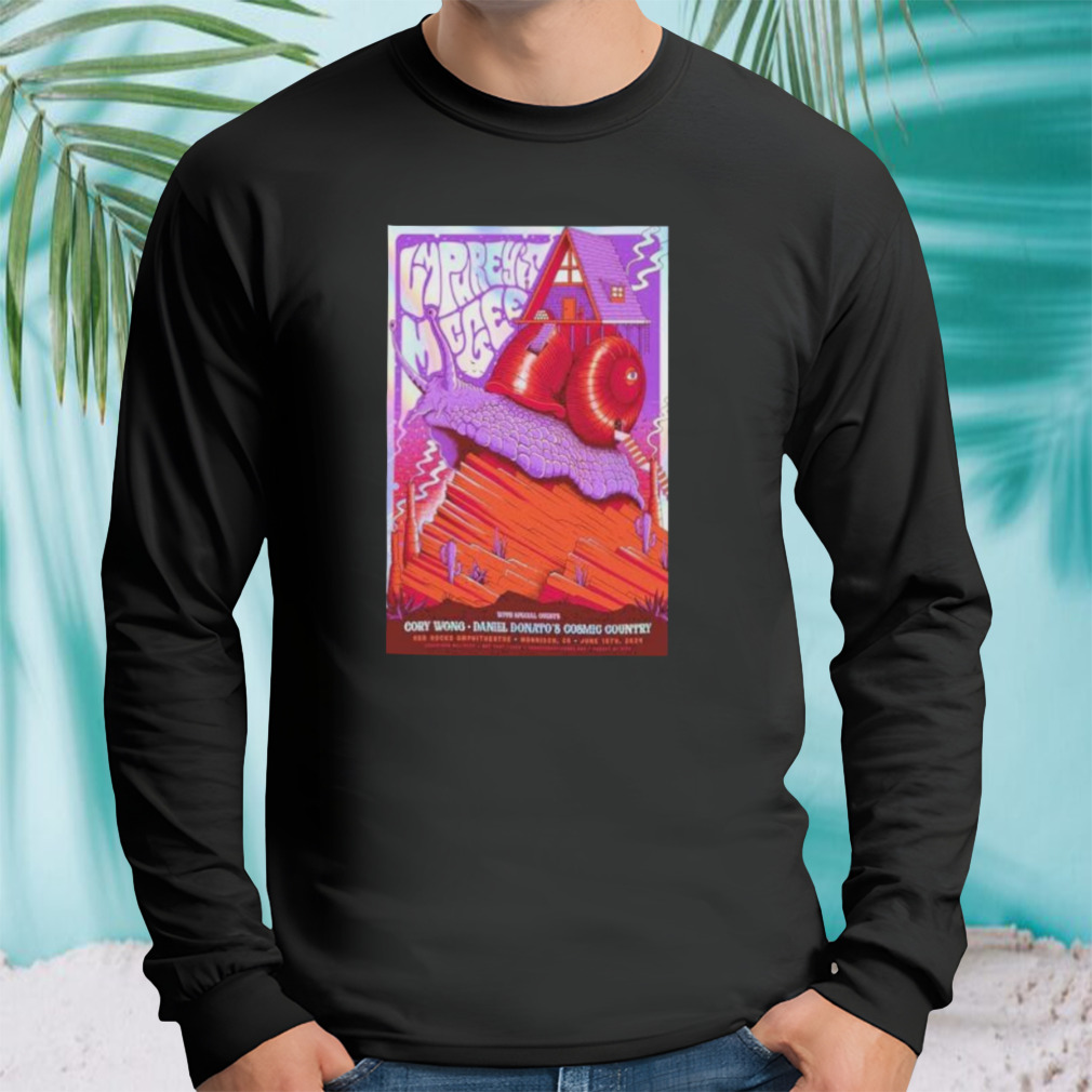 Longsleeve tshirt