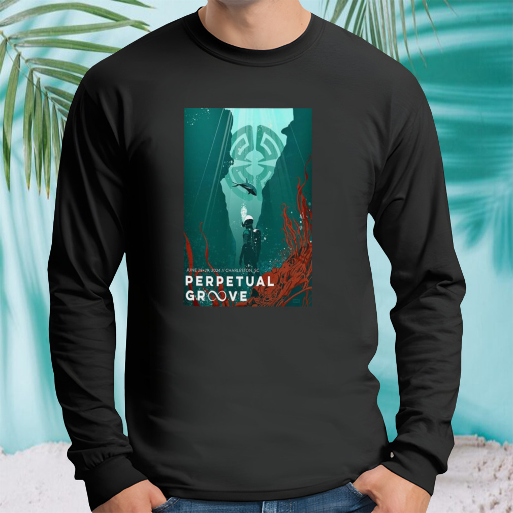 Longsleeve tshirt