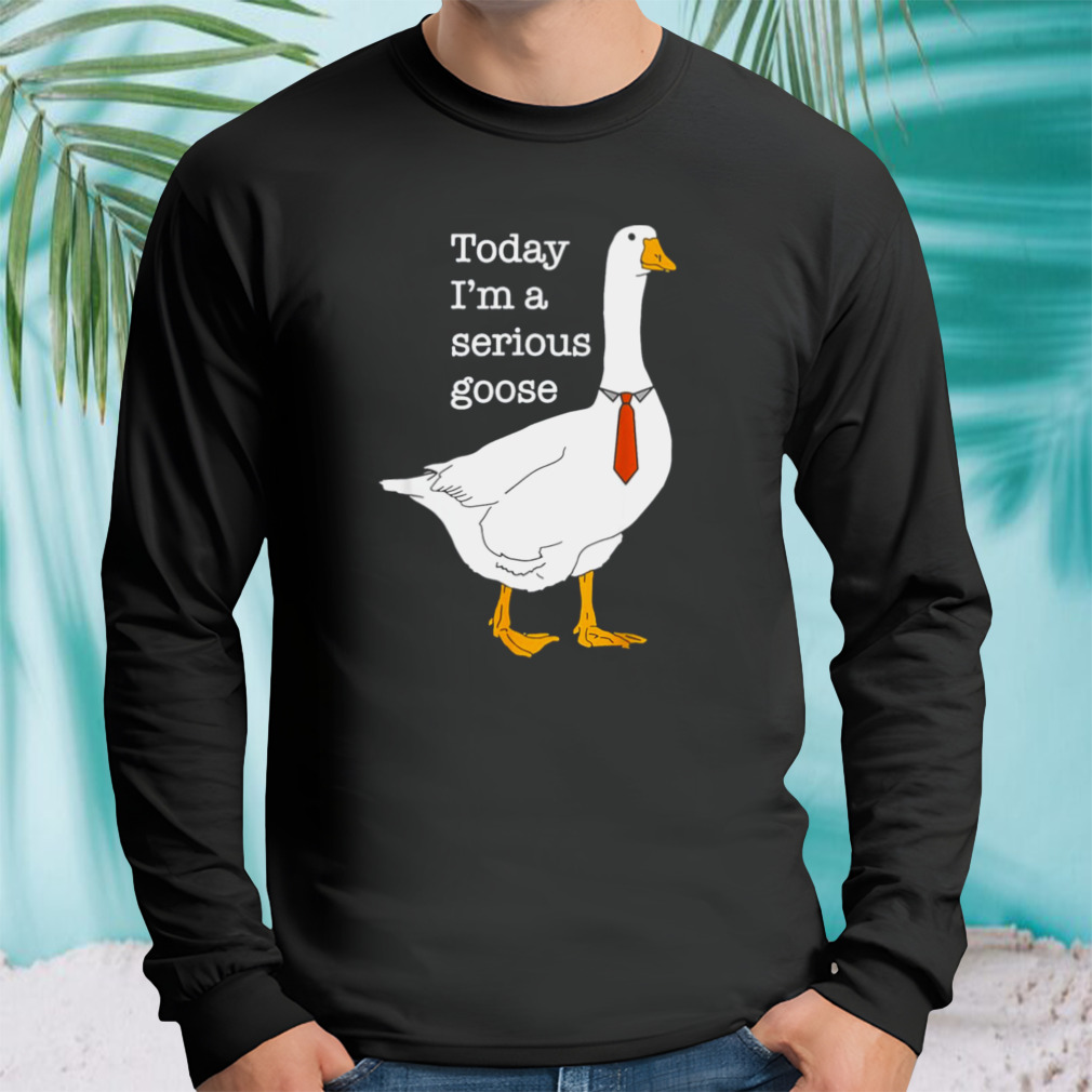Longsleeve tshirt