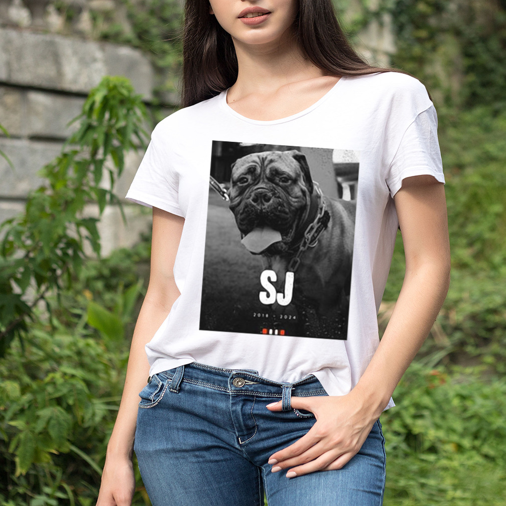 Women's shirt