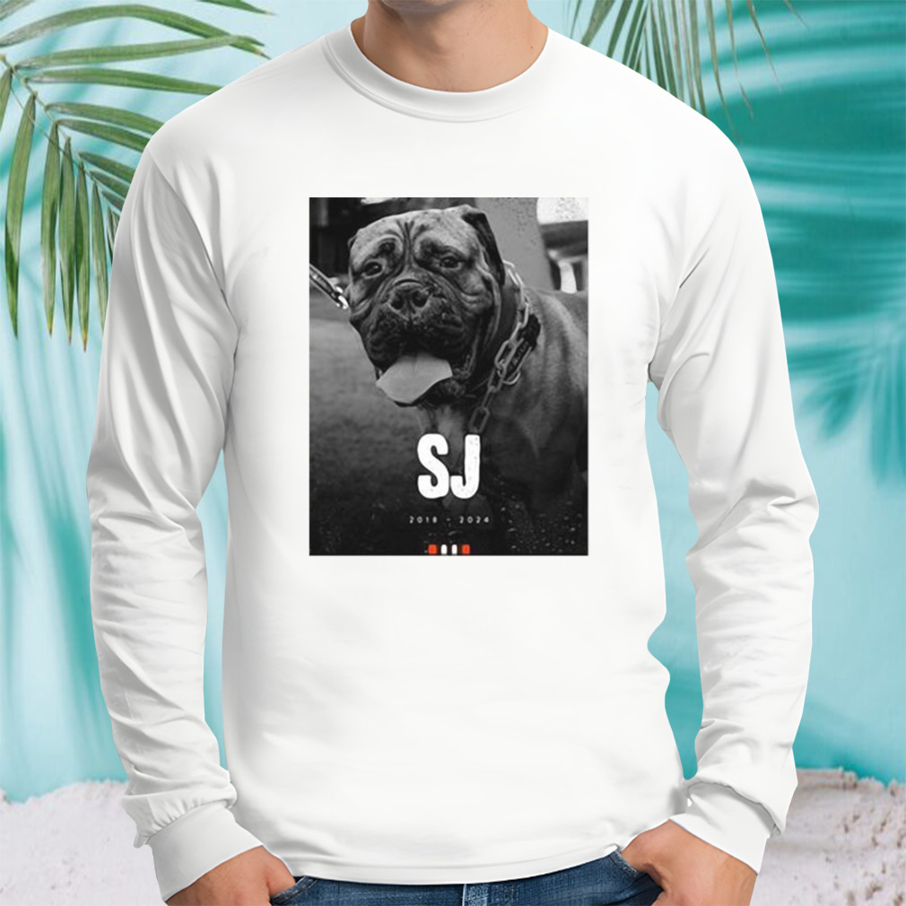 Longsleeve shirt