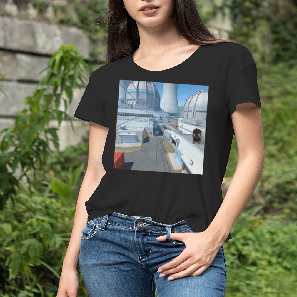 Women's tshirt