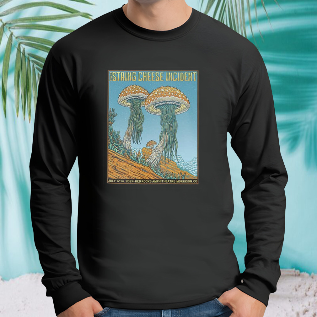 Longsleeve tshirt